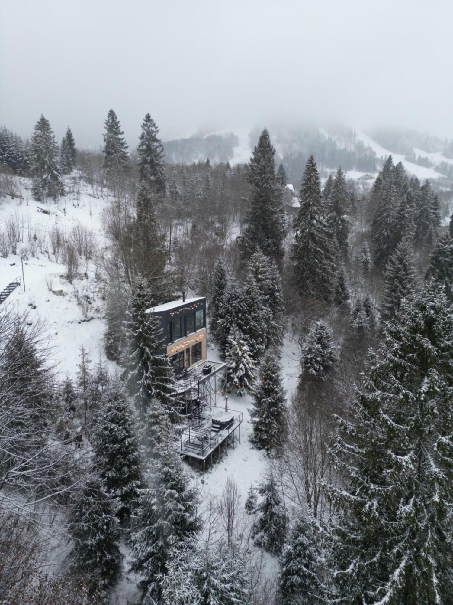 Forest Hub Villa Slavske Exteriör bild